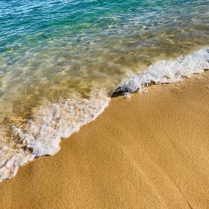 Meet your Posher, Sam